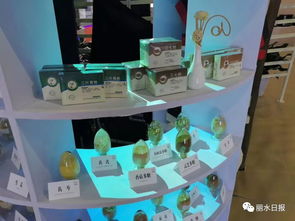 借力國際展會，麗水產品與平臺服務雙雙走出國門 理念先行如何精準匹配外商胃口？